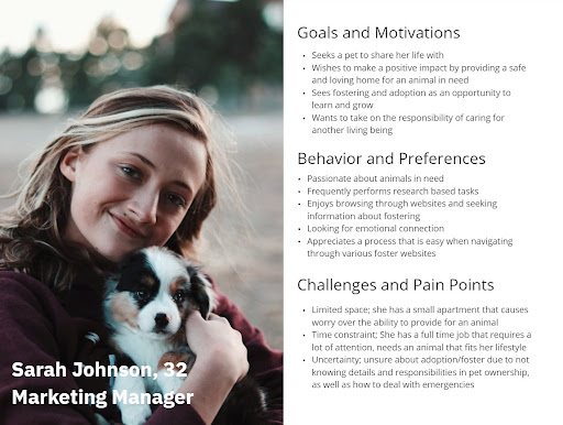 user persona profile