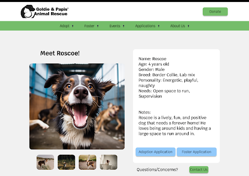 Profile for adopable canine pet named Roscoe
