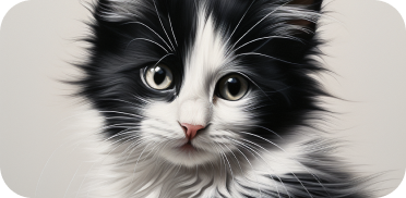 AI generated image of a black and white kitten.