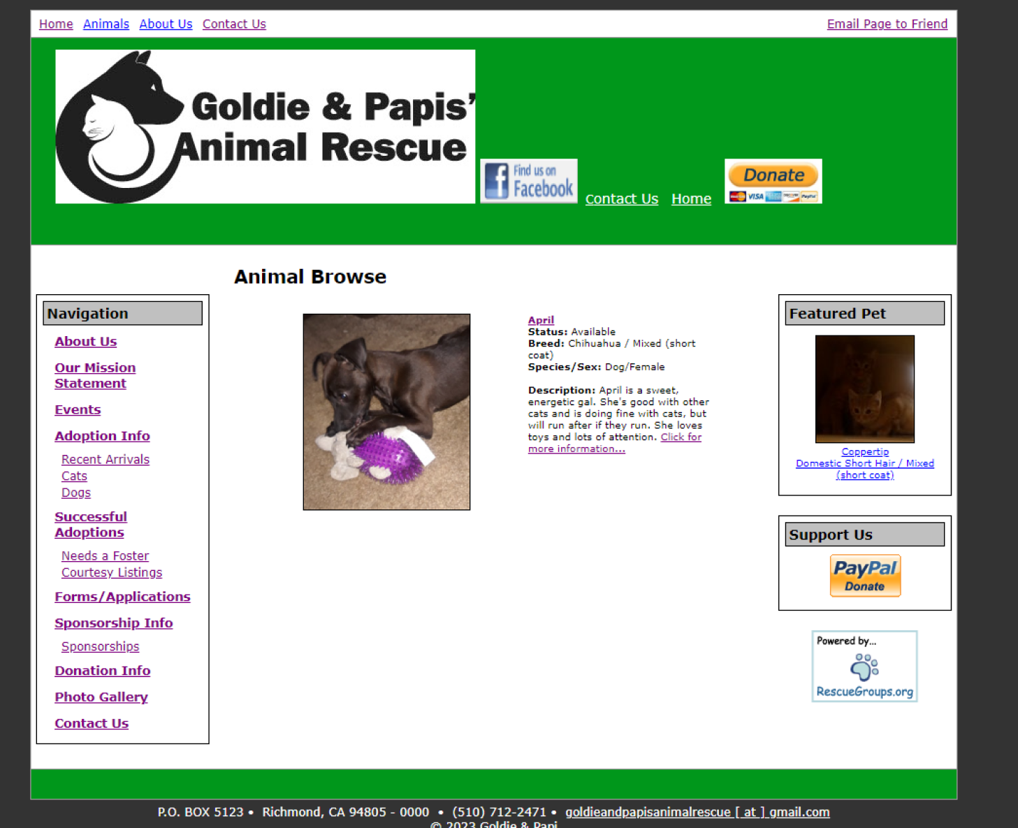 Screenshot of webpage before redesigning